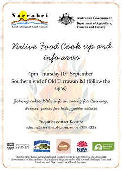 Native Food Cook Up and info arvo